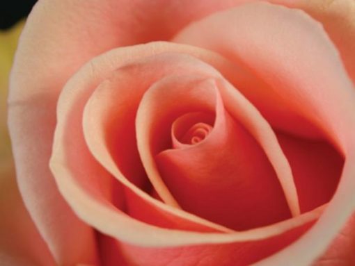 IMG_0004
